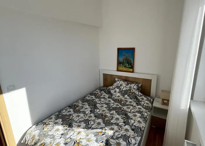 Zvezda Zlatar 3 Units 公寓